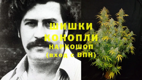 2c-b Бородино