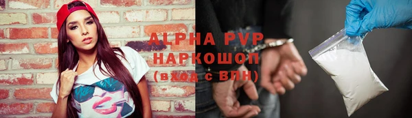 2c-b Бородино