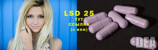 2c-b Бородино