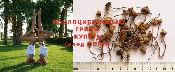 мдпв Бугульма