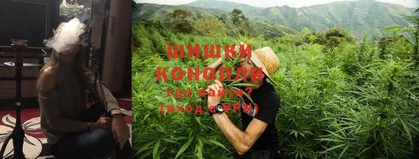 мдпв Бугульма