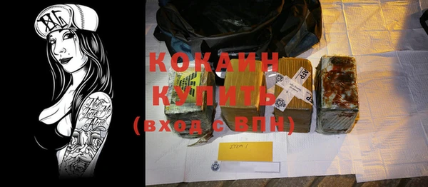 2c-b Бородино